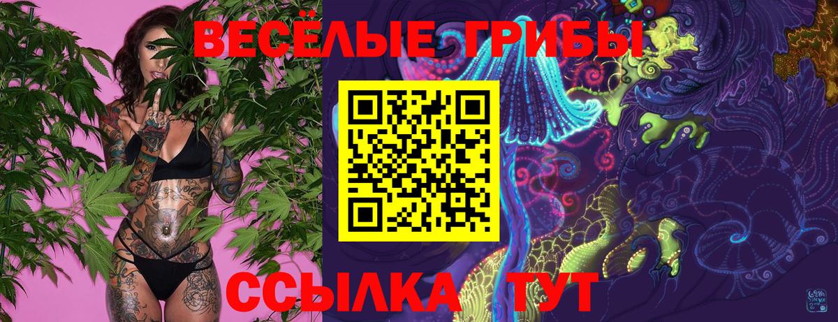 Галлюциногенные грибы Psilocybe  Вход с VPN  Галлюциногенные грибы Cubensis  Анжеро-Судженск 
