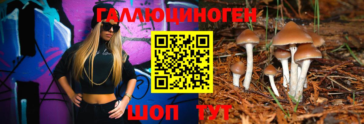 Псилоцибиновые грибы Cubensis Анжеро-Судженск